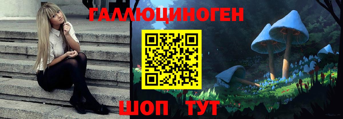 Псилоцибиновые грибы Psilocybine cubensis  Вход с VPN  Буйнакск 